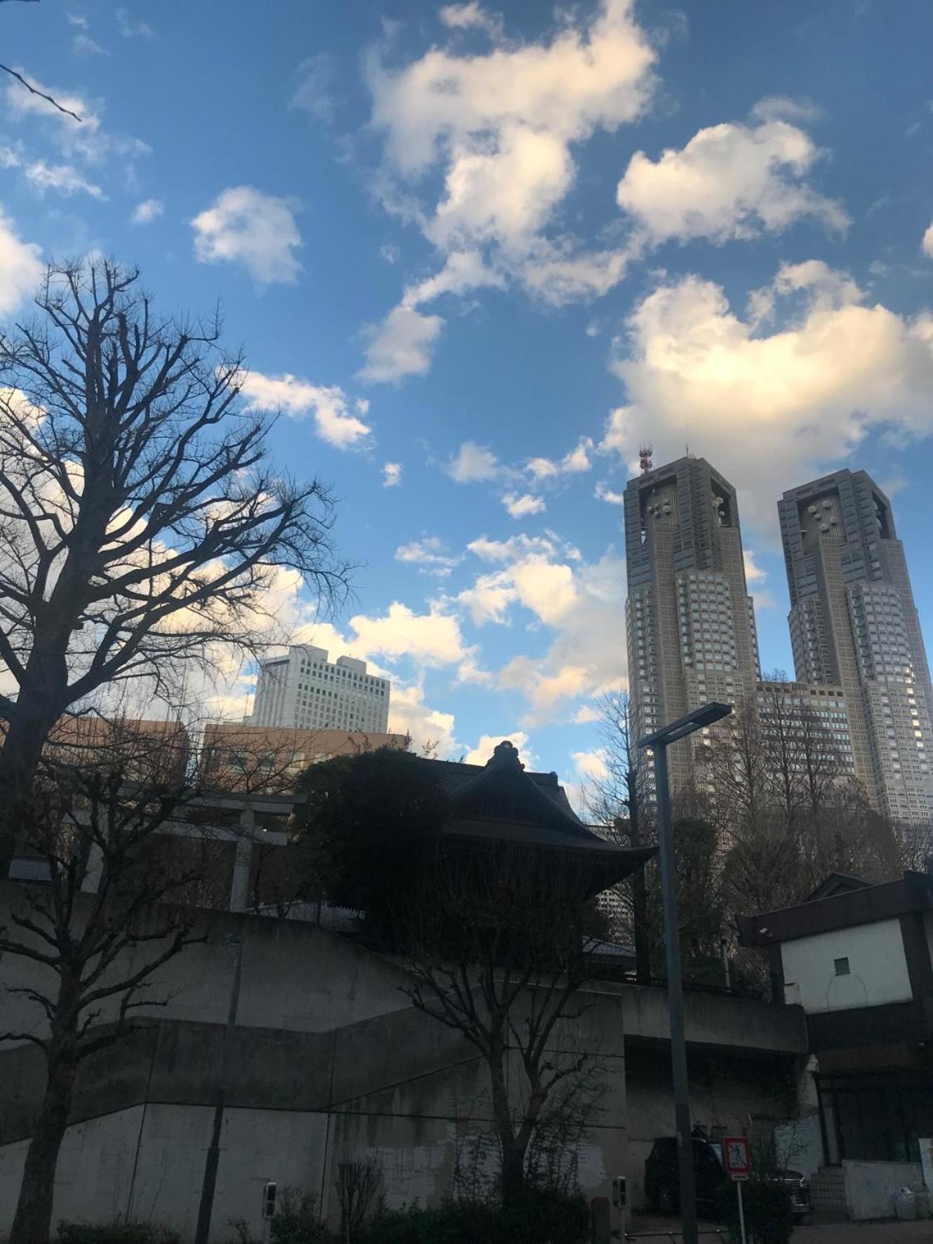 Tokyo Shinjukutei Hotel Asahi Gruop 東京新宿亭ホテル Luaran gambar